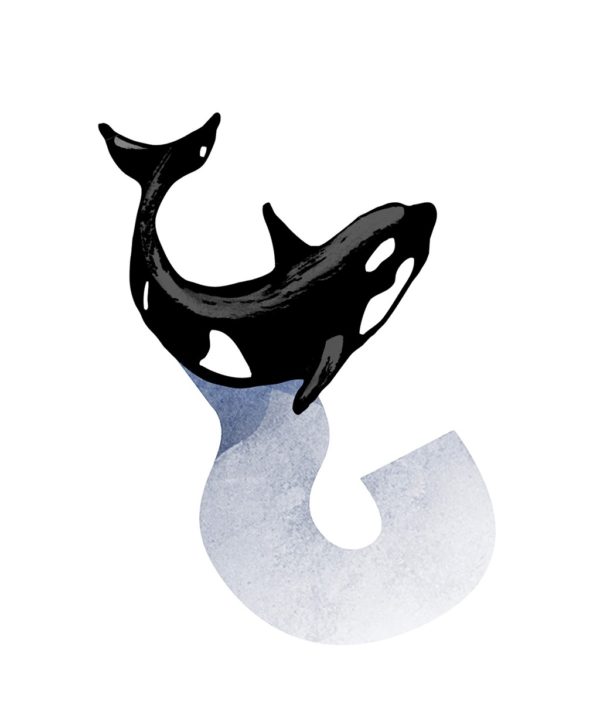 Illustration of a whale and a question mark