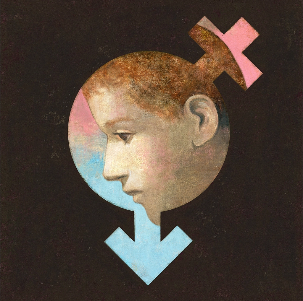 Cover for Intro to the gender spectrum