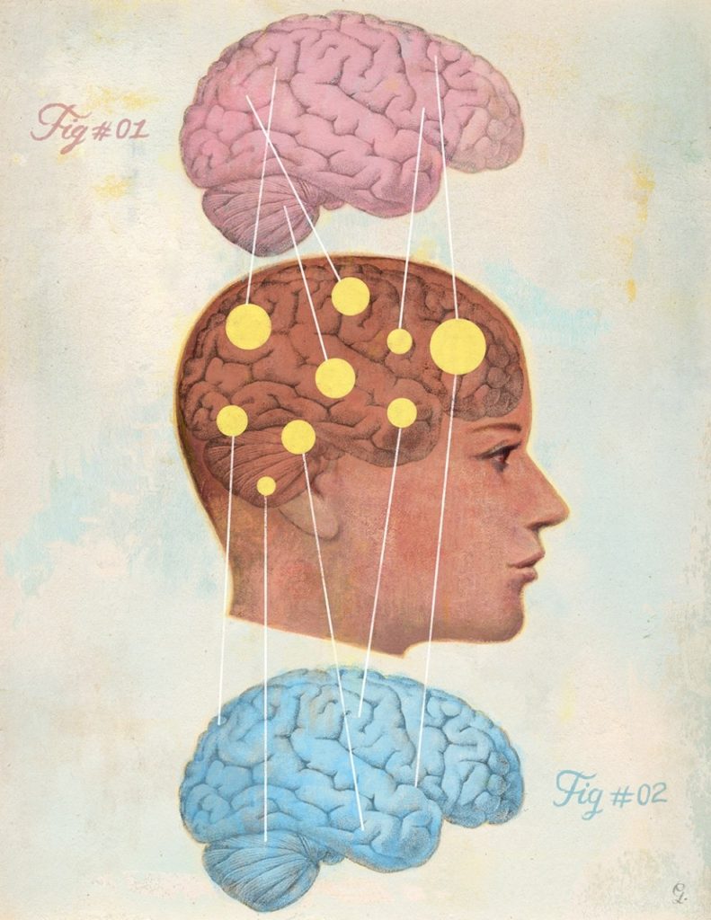 How men s and women s brains are different Stanford Medicine