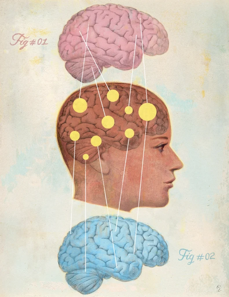 Cover for Two minds