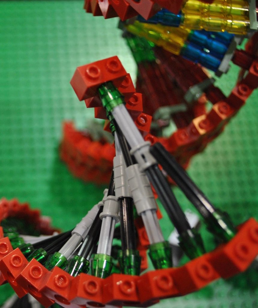 Lego DNA building blocks