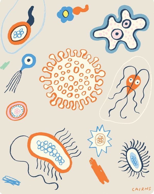 Microbe diversity illustration