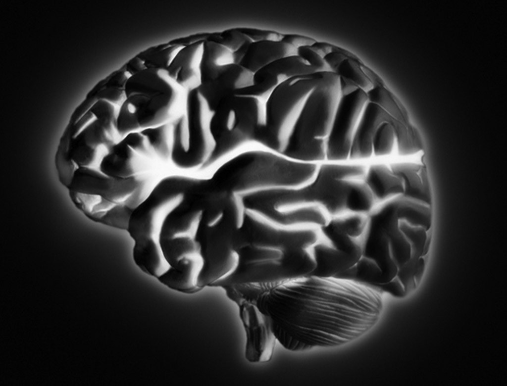 Zaps to the brain's pleasure center stop destructive impulses in