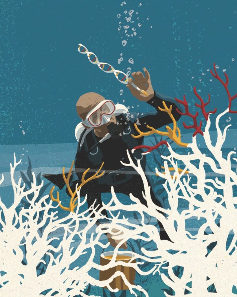 Illustration of a researcher studying coral in the ocean. / Mark Smith illustration