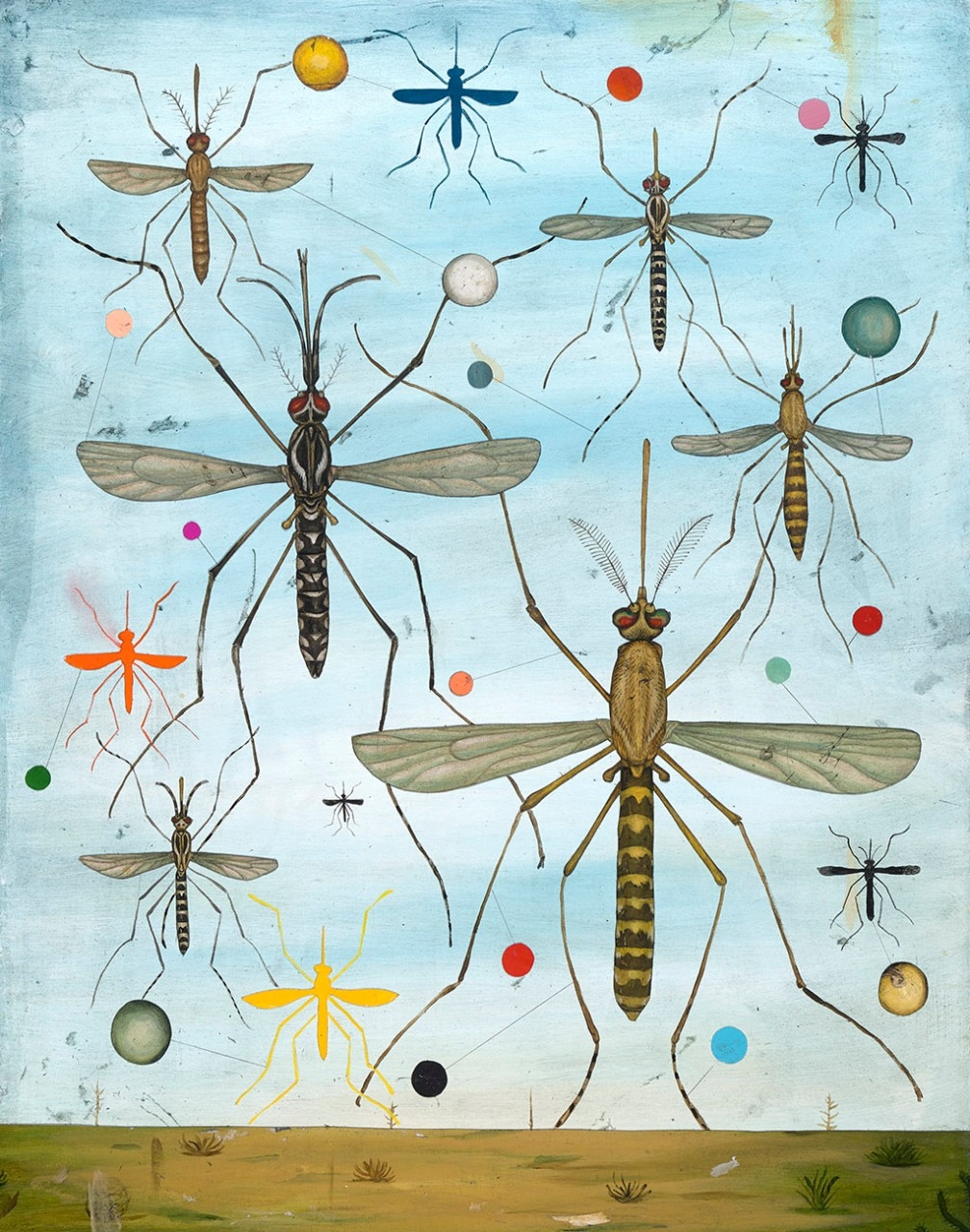 Mosquito illustration by Jason Holley