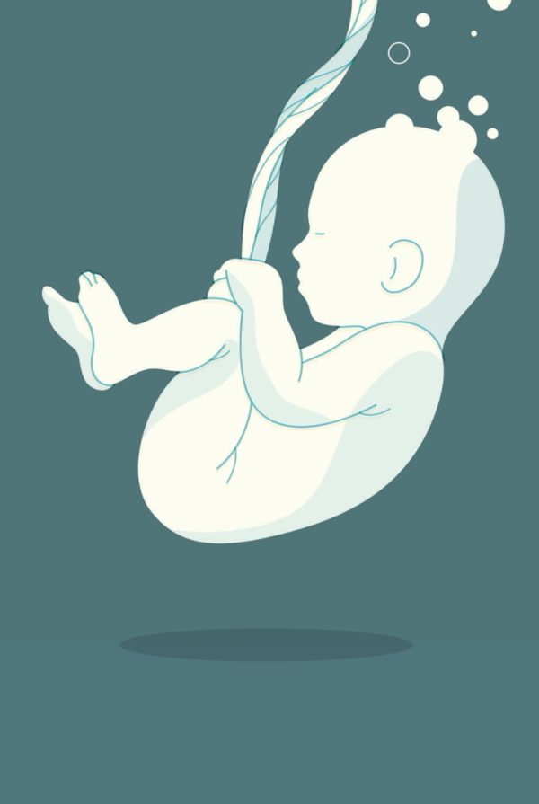 Baby in utero illustration by Harry Campbell