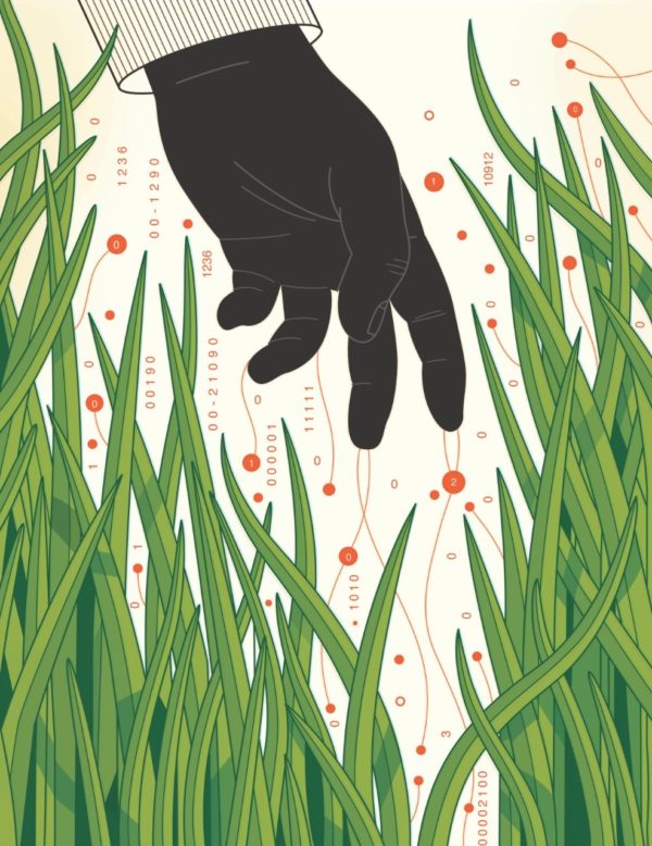 Illustration of a hand reaching into a field of data, by Harry Campbell