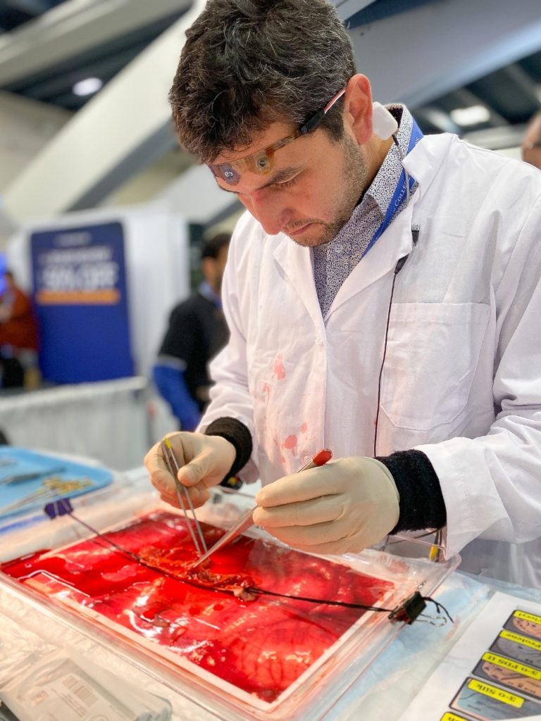 Surgeon Alberto Felipe Torres of Santiago, Chile, repairs a torn pig bowel