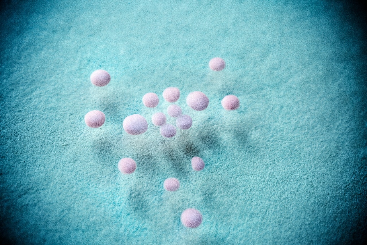 Tiny brain balls in Sergiu Pasca's lab