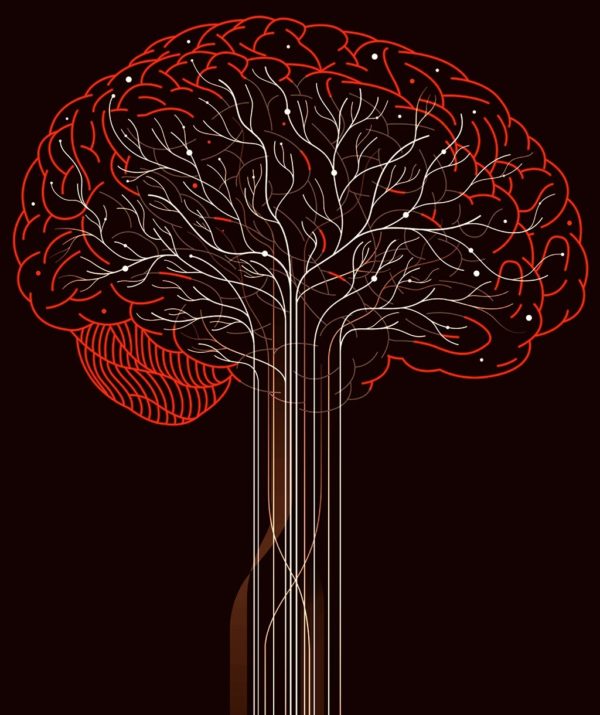 Illustration of a brain by Harry Campbell