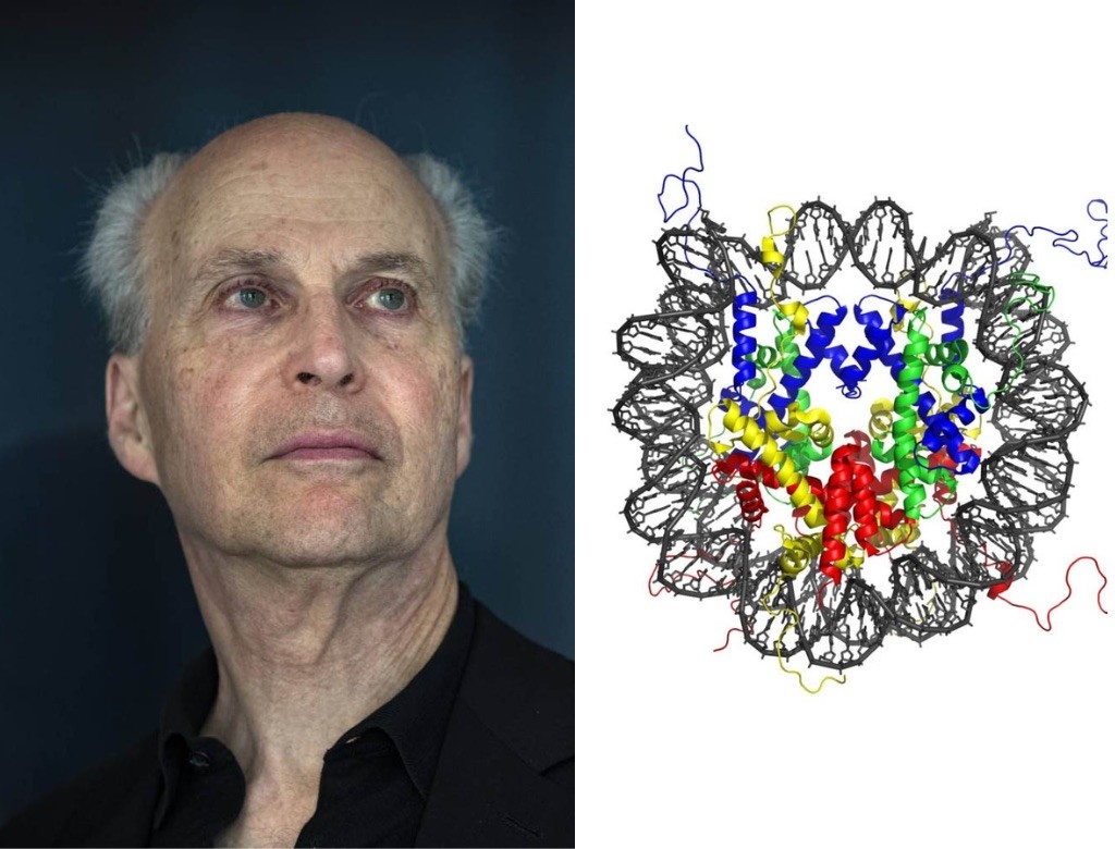 Roger Kornberg and the nucleosome