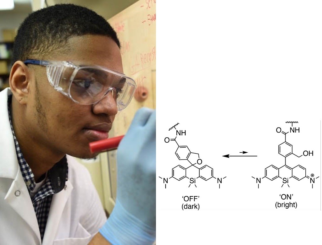 Jonathan Tyson and Hydroxymethyl silicon rhodamine