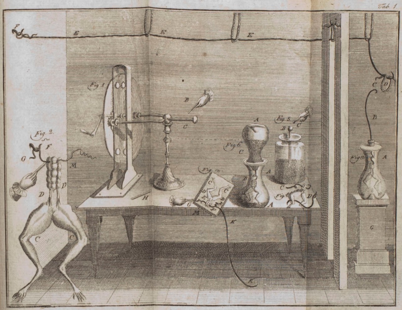 Illustration of what researcher Luigi Galvani called animal electricity.