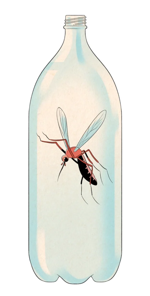 Illustration of a plastic bottle with a mosquito inside