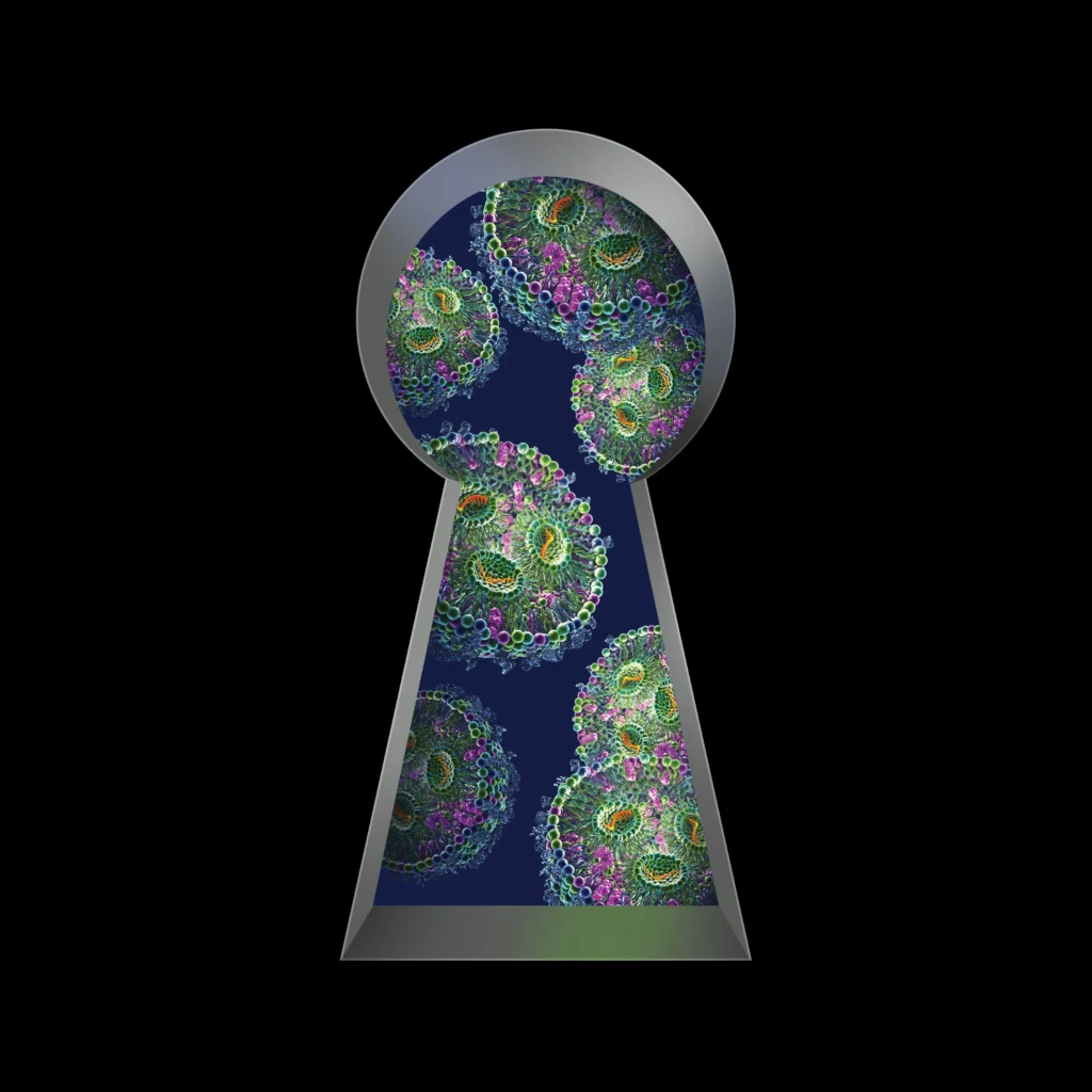 Photo illustration of a keyhole with cells inside