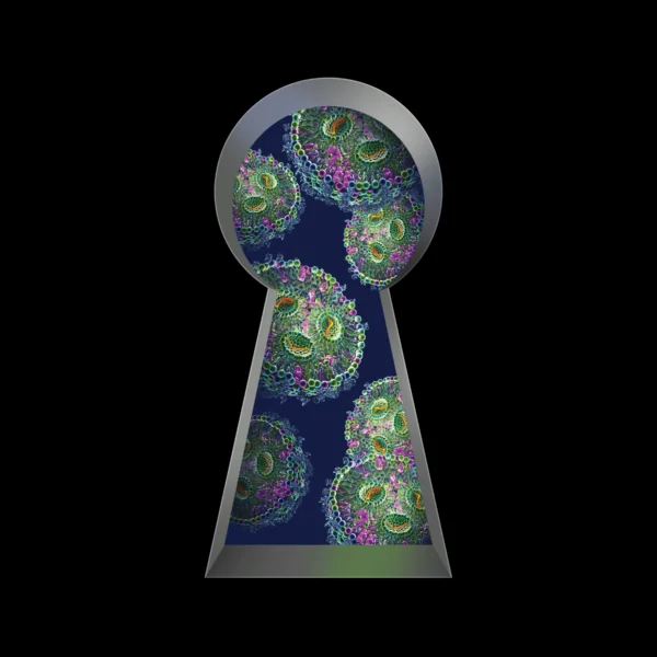 Photo illustration of a keyhole with cells inside