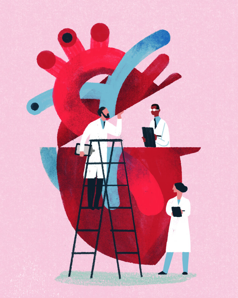 Featured Media for Lab-grown heart tissue yields insights