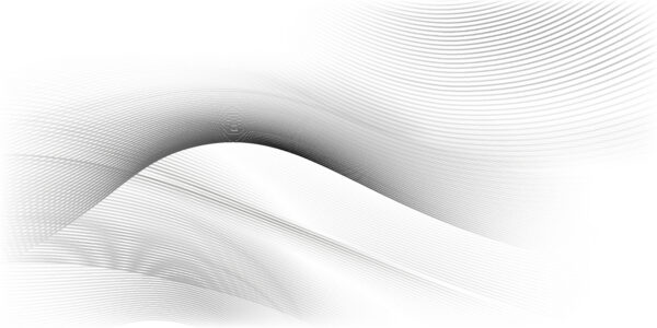 Cover for Bridging the gap