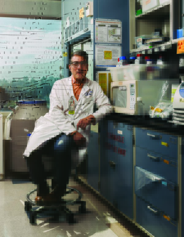 Cover for Stopping kidney stones at the source