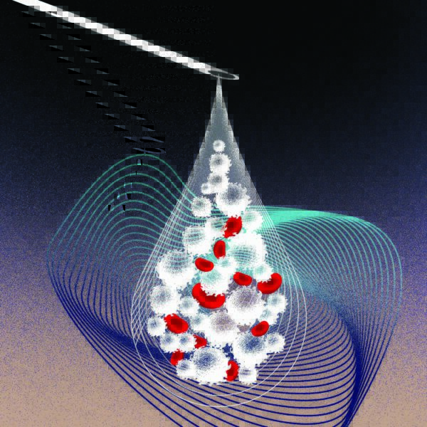Cover for A softer landing for stem cells