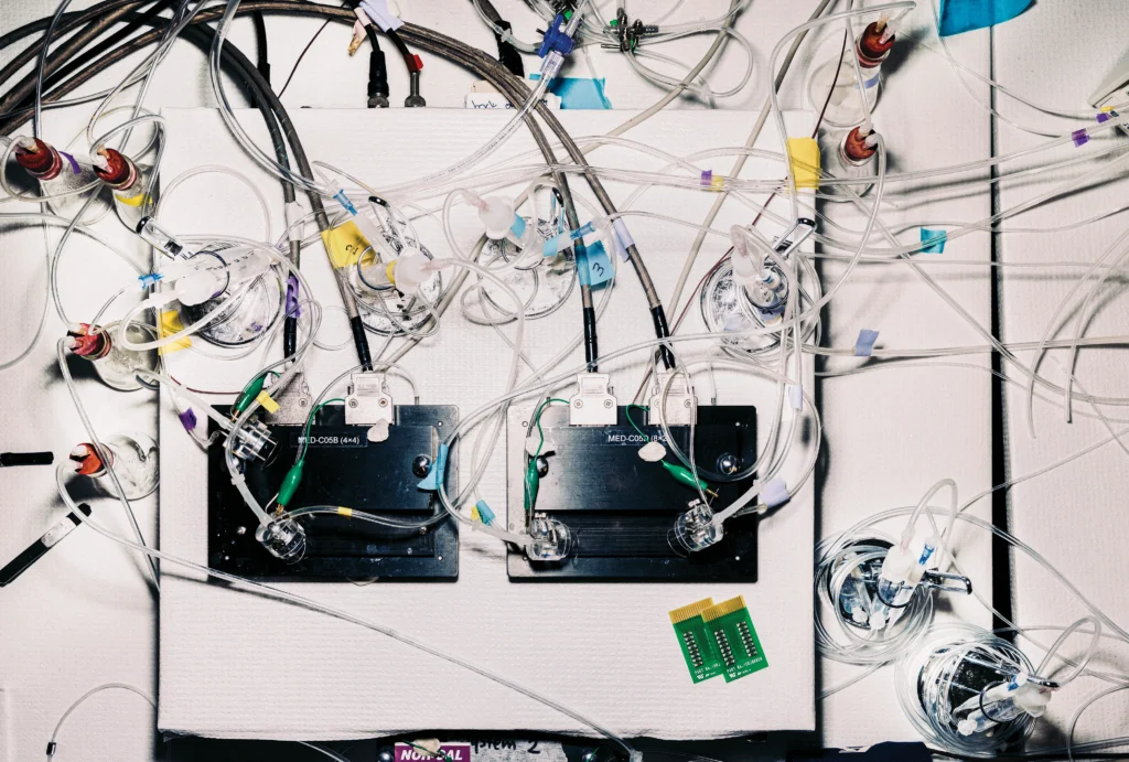 The electrophysiology setup used in the Longo Lab to measure the electrical signals between cells in brain tissue. The black platforms hold slices of tissue and record the signals, and the tubes carry artificial cerebrospinal fluid.