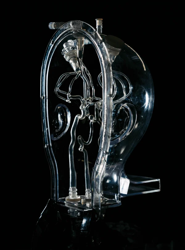 A true-to-scale model in the lab of mechanical engineer Renee Zhao, PhD, of the human cerebral blood vessels researchers use to develop ways to treat stroke.