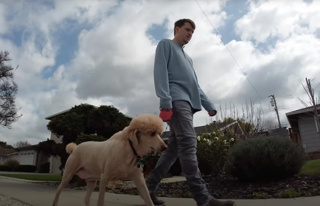 Man walking his dog
