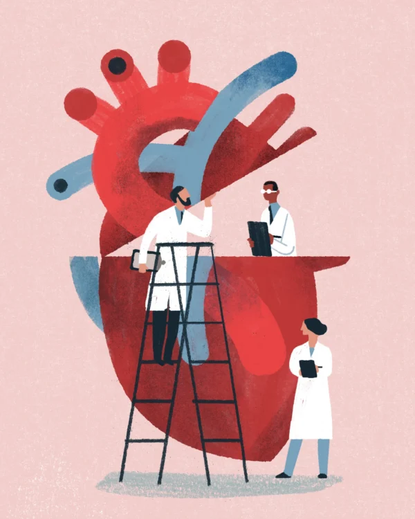 Illustration of physicians investigating the inside of a heart