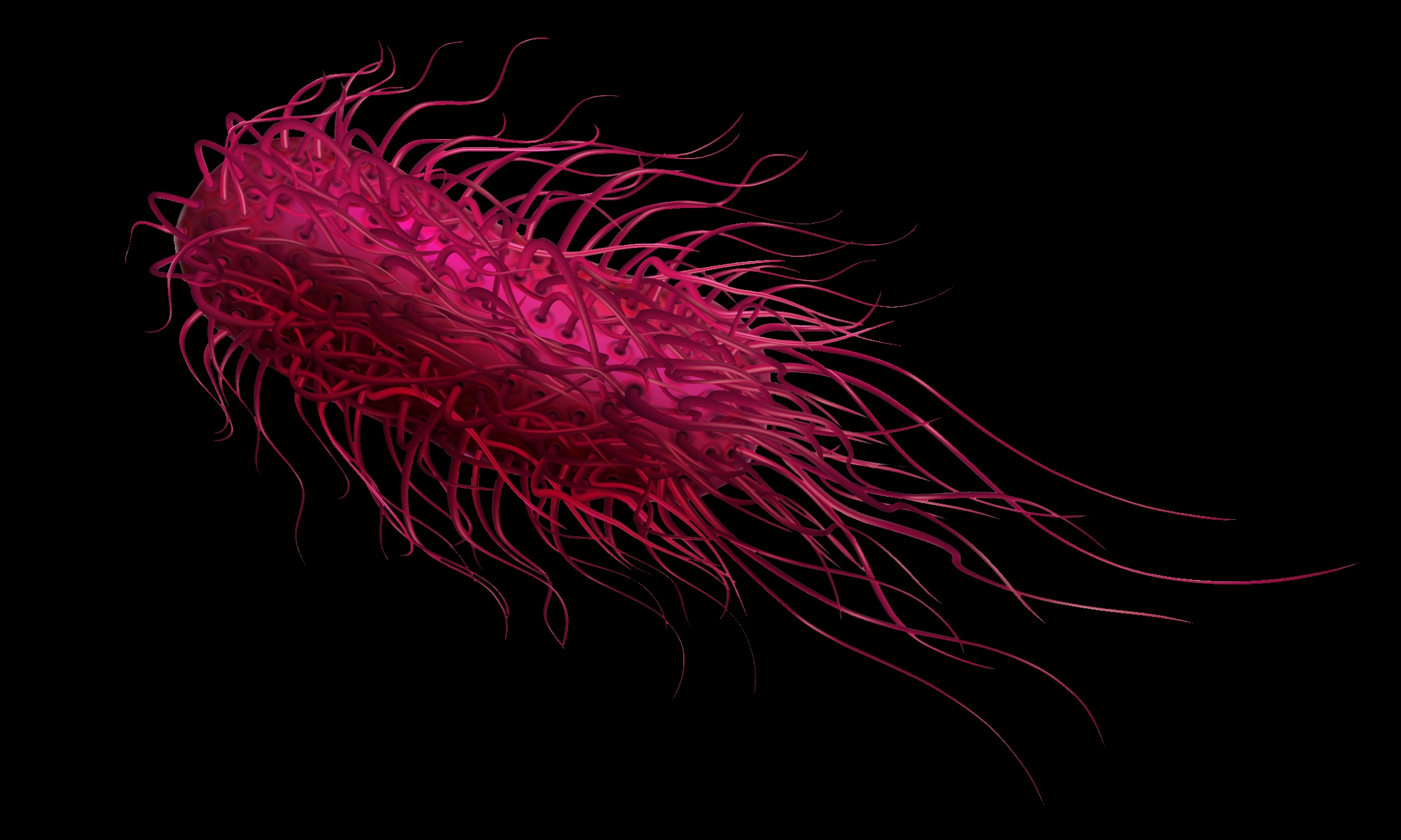 Salmonella Typhi produces over 20 factors to manipulate the host’s biological pathways to its advantage.