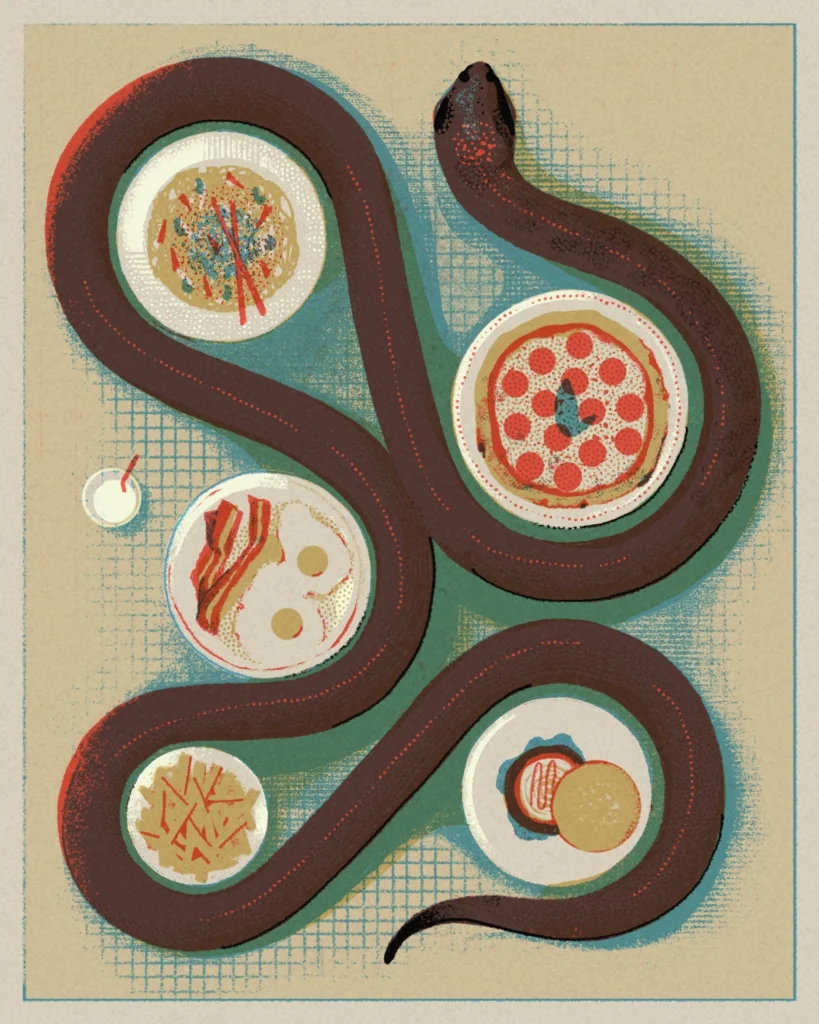 Illustration of a python wrapped around plates of food