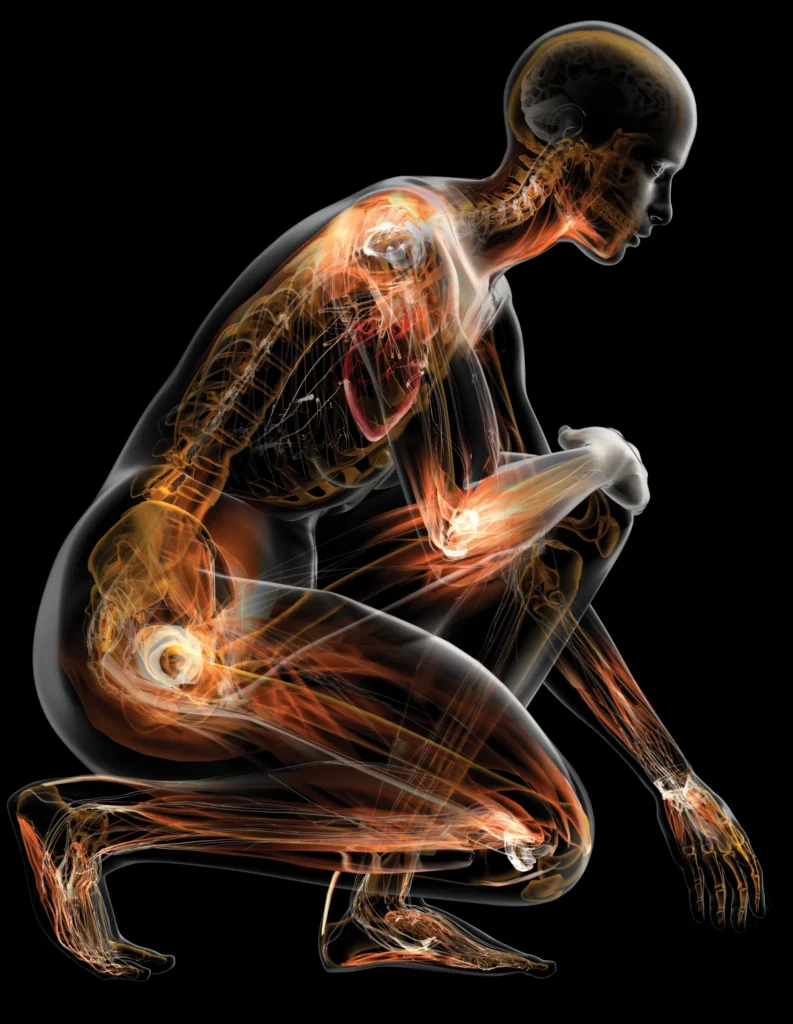 Illustration of an X-ray vision of a person, highlighting major joints