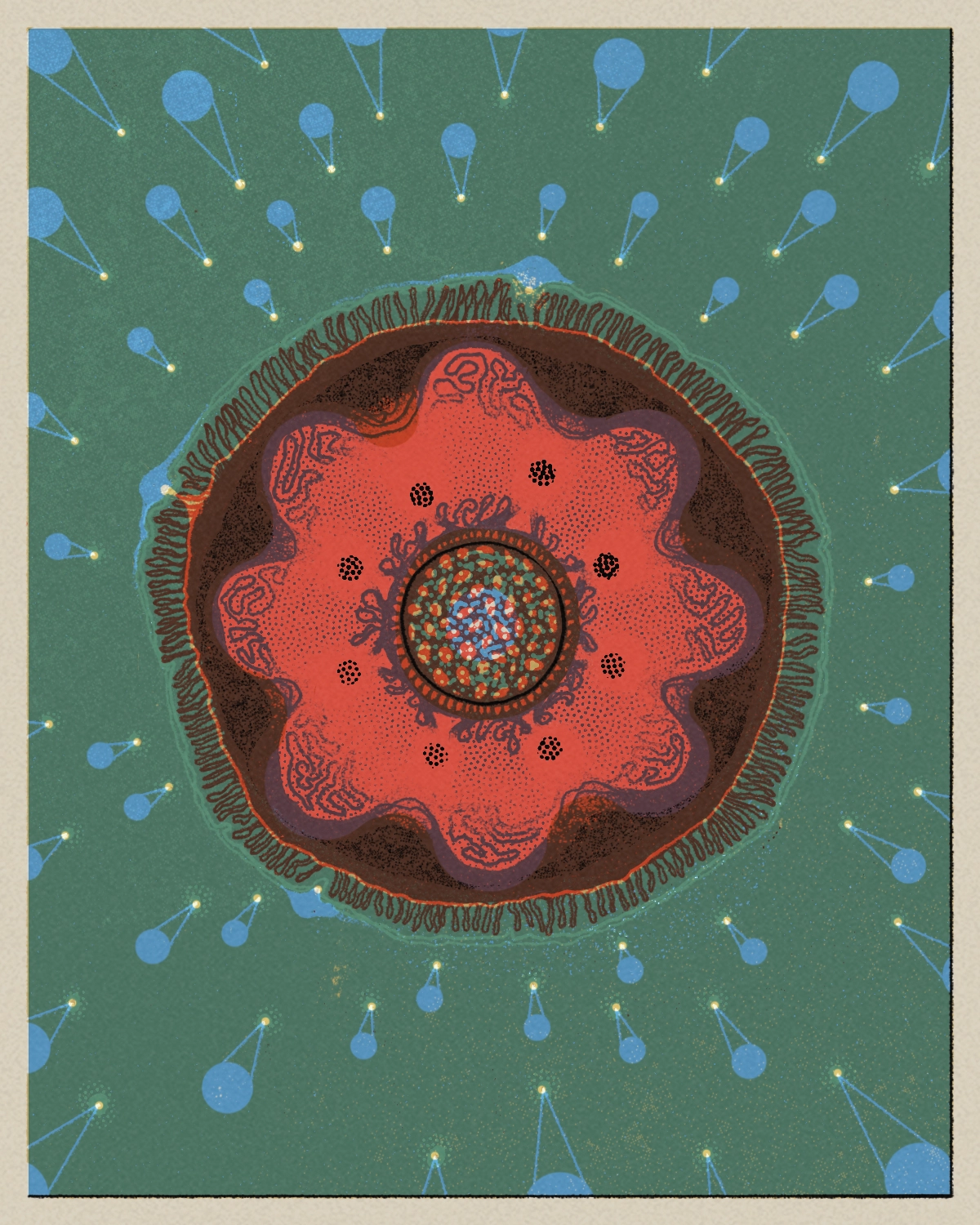 Illustration of immune cells attacking a tumor